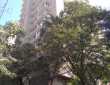 4 BHK Duplex Apartment For Rent At North Ave, Santacruz West.