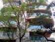 3 BHK Apartment At 16th Road, Bandra West. 