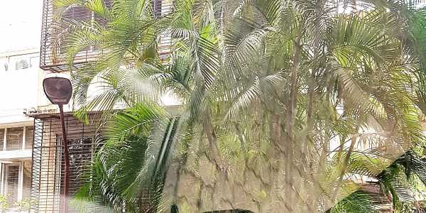 A 3 bhk 2035 sq ft Bungalow Ideal for Investment, Actual Use. Ground + 2 Bungalow on a 234 sq mtr. Plot in the Juhu Scheme
