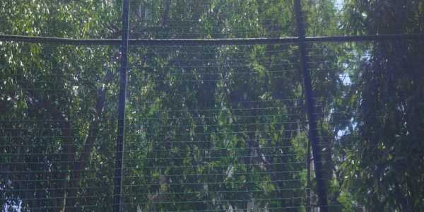 2 BHK Apartment For Sale At Brighton tower, Lokhandwala Complex, Andheri West.