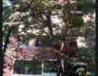 1 bhk Apartment available for Sale at Lata Soni in Bandra West