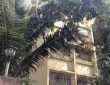 350 Sq.ft. Commercial Office For Rent At S.V. Road, Santacruz West.