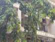 3 Bhk in Juhu Scheme, Furnished, Suitable for Students or Single People wanting to share a premises