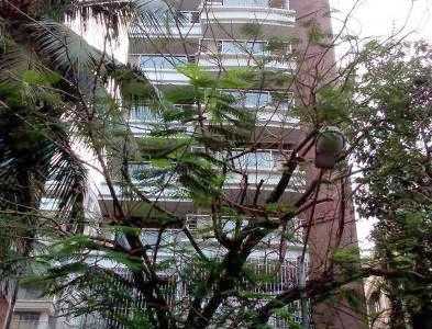 3 BHK Apartment For Sale At Chhaya, 15th Road, Khar West.