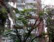 3 BHK Apartment For Sale At Chhaya, 15th Road, Khar West.