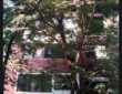 1 BHK Apartment For Sale At Dr Keshav Baliram Hedgewar Marg, Khar West.