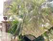 A 3 bhk 2035 sq ft Bungalow Ideal for Investment, Actual Use. Ground + 2 Bungalow on a 234 sq mtr. Plot in the Juhu Scheme