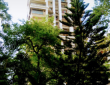 3 BHK Apartment For Sale At Continental Tower, Pali Hill, Bandra West.